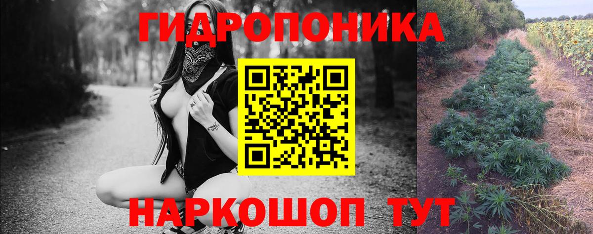 Шишки марихуана сатива  Бошки марихуана SATIVA & INDICA  Марихуана ГИДРОПОН  Вход с VPN  Торжок 